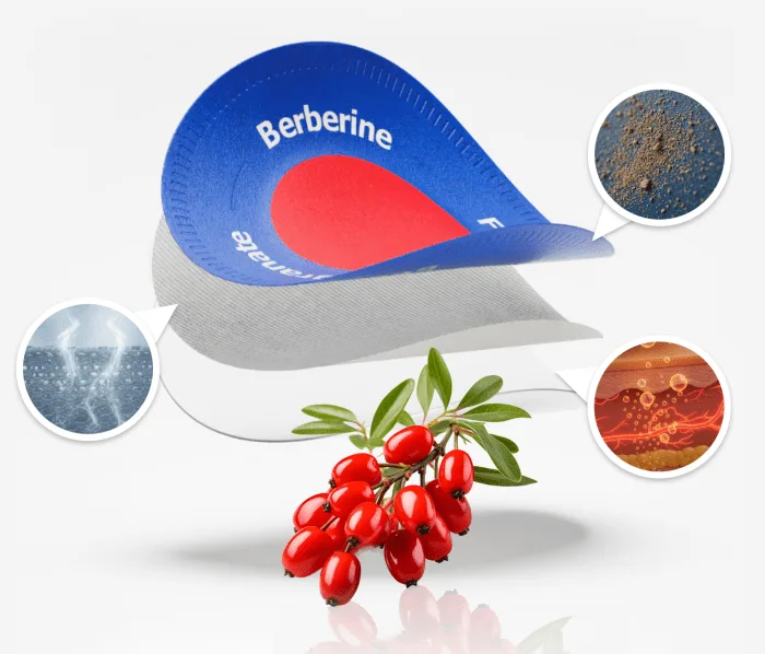 Purisaki Berberine Patch How It Works and Ingredients